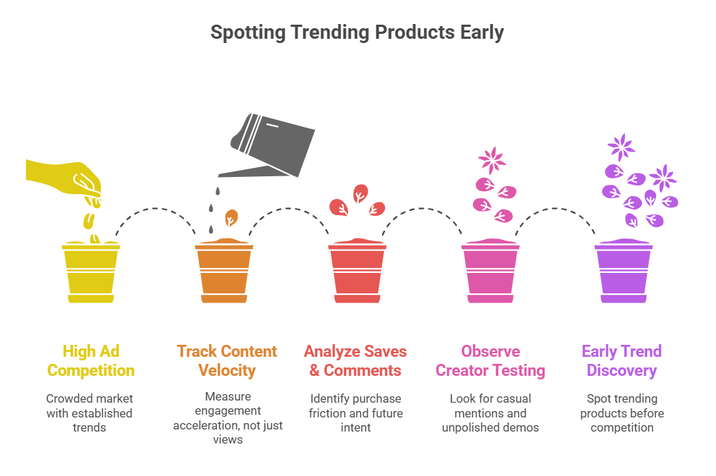 Track TikTok and Reels Content Velocity